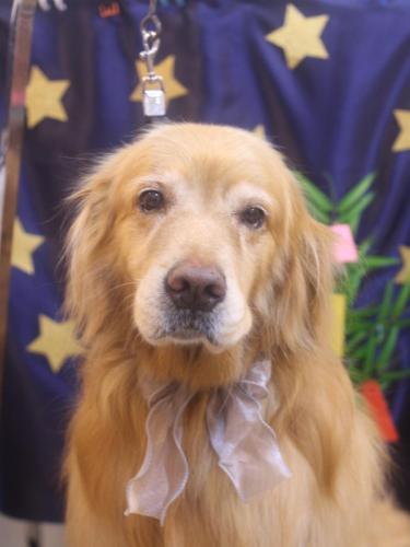 20230716五助くん